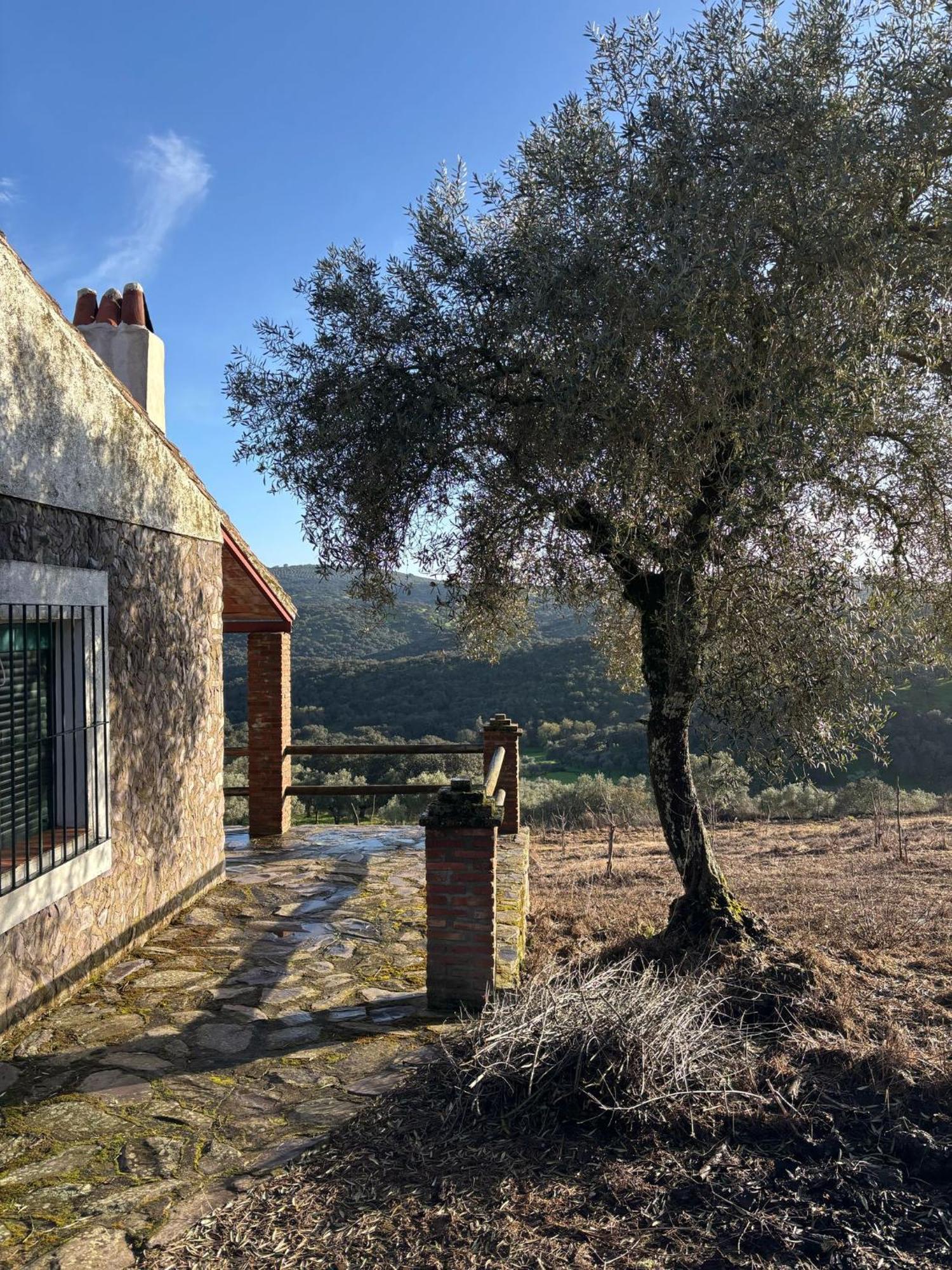 Llanos Chalet *