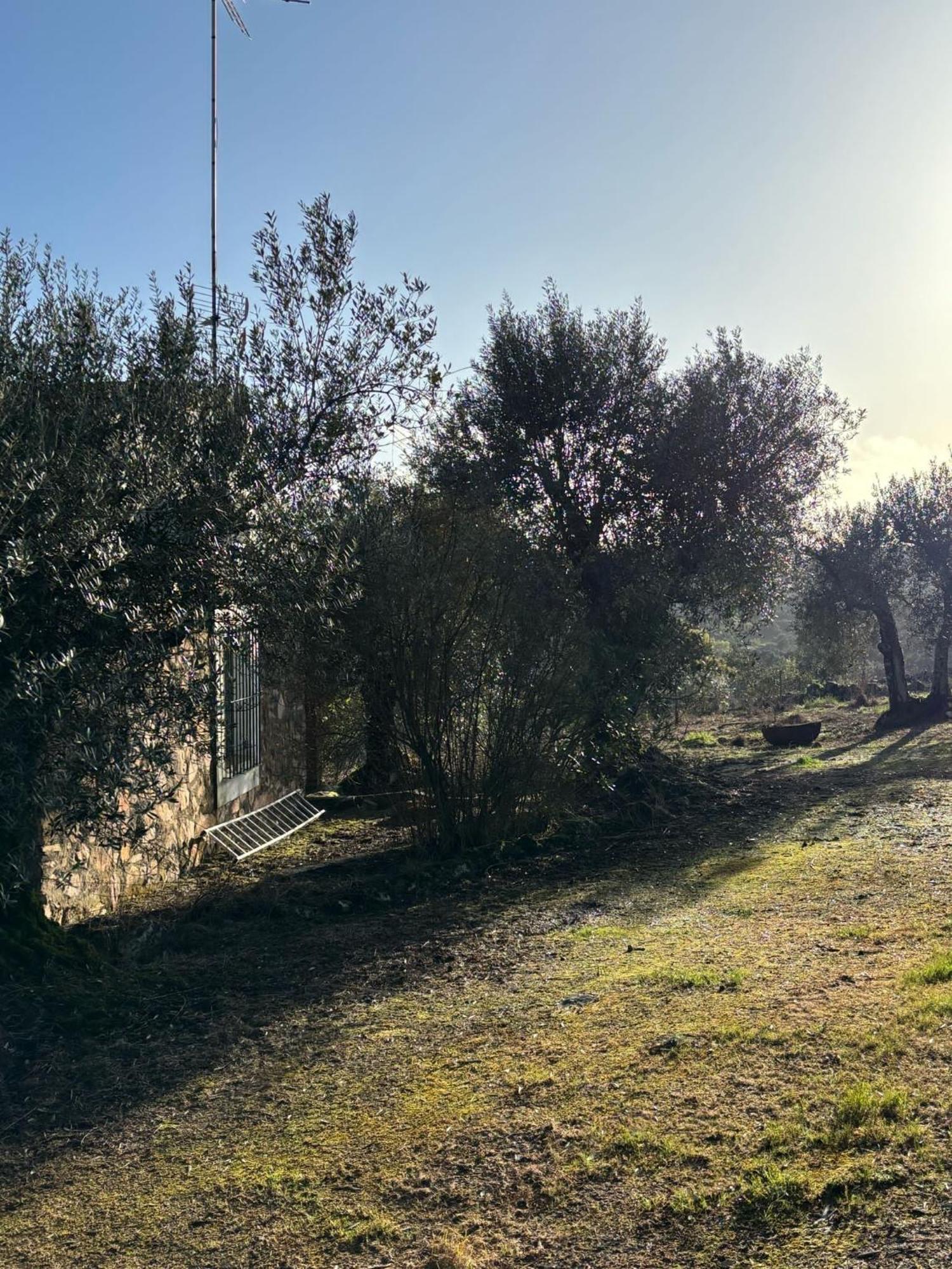 Llanos * Fuentes de León