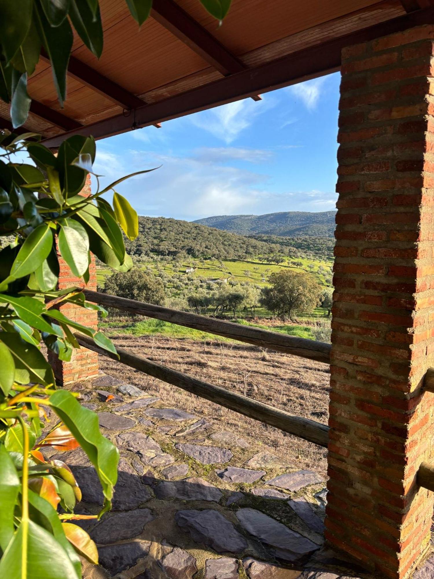 Llanos Fuentes de León