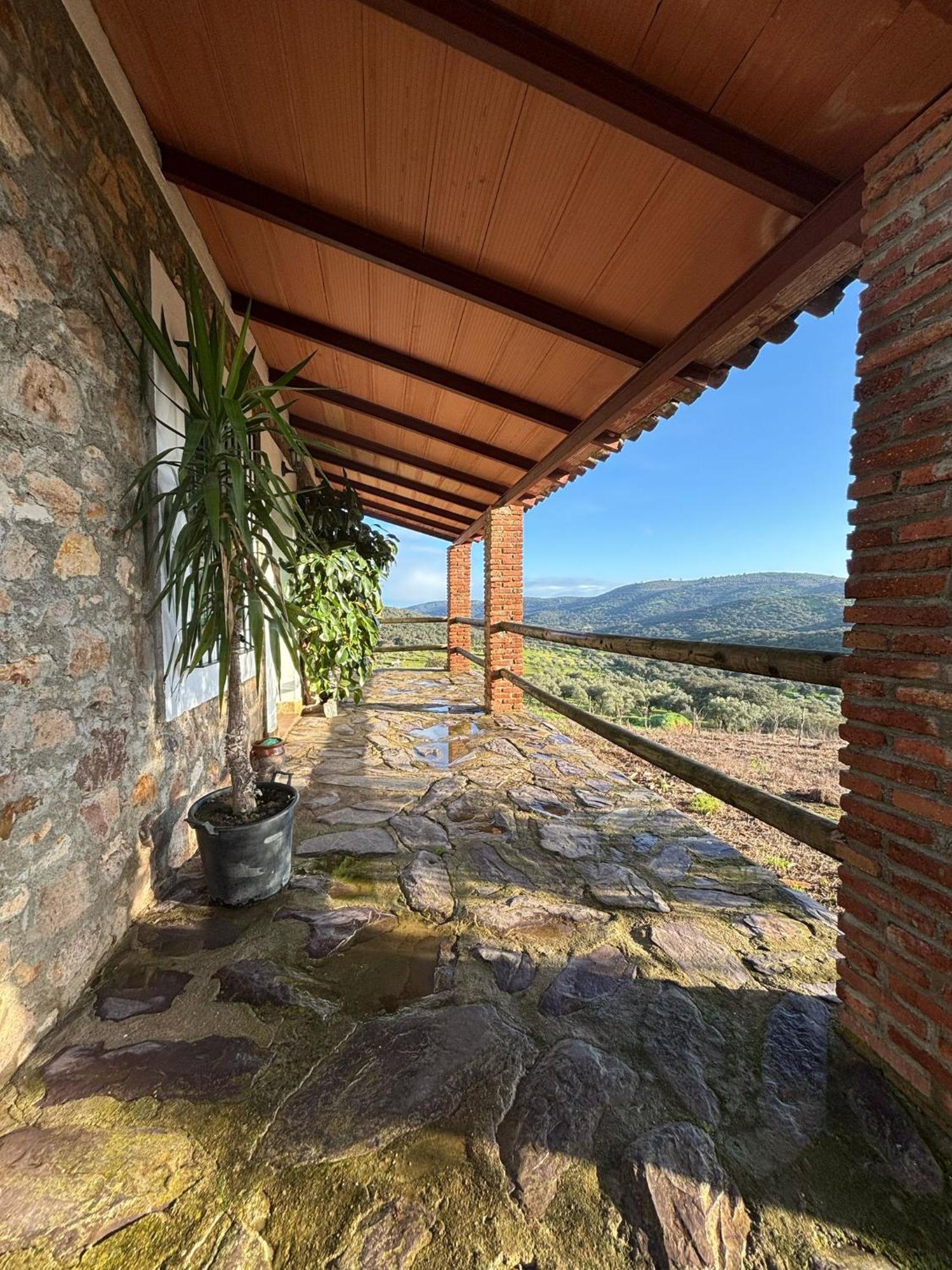 Llanos