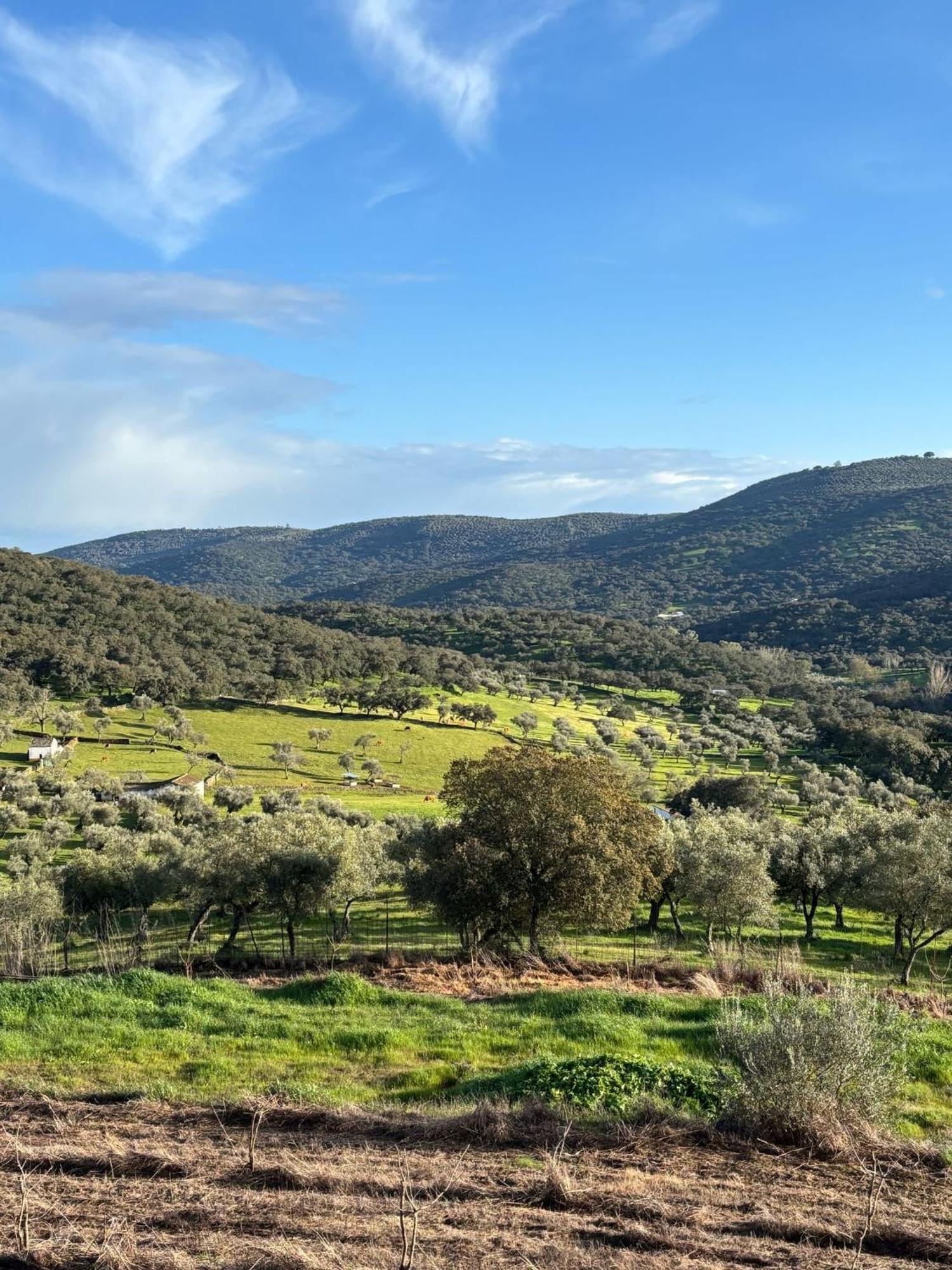 Chalet Llanos Fuentes de León