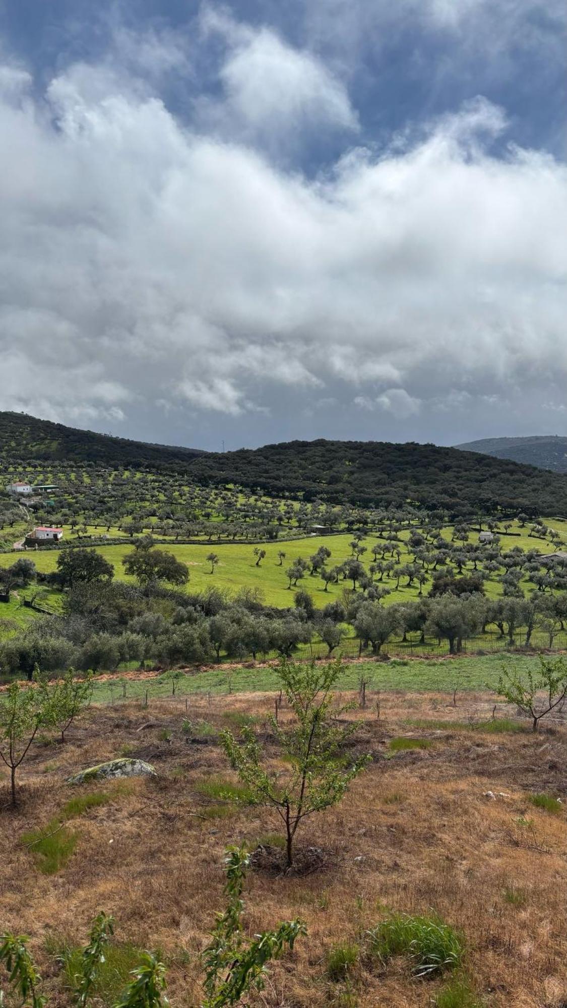 Llanos * Fuentes de León